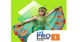 RRI Pro 1 - Bandung