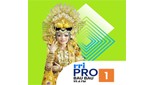 RRI Pro 1 - Baubau