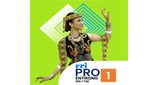 RRI Pro 1 -  Entikong