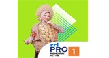 RRI Pro 1 - Kendari