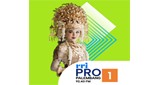 RRI Pro 1 - Palembang