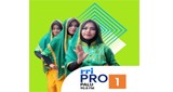 RRI Pro 1 - Palu