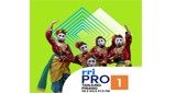 RRI Pro 1 - Tanjungpinang