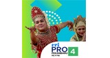 RRI Pro 4 - Pekanbaru