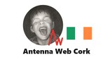 Antenna Web Cork