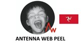 Antenna Web Peel