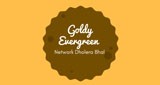 Goldy Evergreen