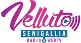 Radio Velluto