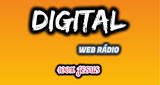 Digital Stereo Web