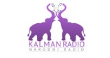 Kalman radio