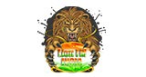 Lion FM India