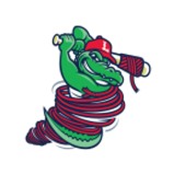 Lowell Spinners Baseball Network