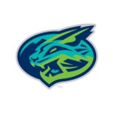 Lynchburg Hillcats Baseball Network