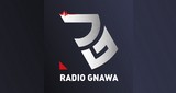 Radio Gnawa