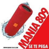 MANIA809