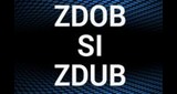 Zdob si Zdub Радио