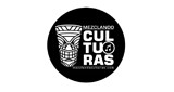 Mezclando Culturas