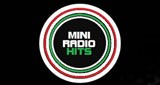 Mini Radio Hits