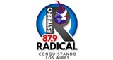 Estereo Radical