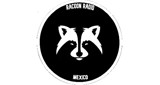 Racoon Radio Mex.