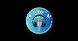 Radio Alfa 104.3 Fm