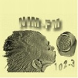 Nim FM