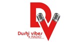 Dushi Vibes Radio