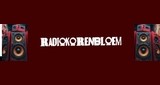 radiokorenbloem