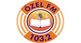 Özel FM