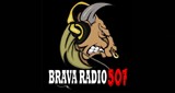 Brava Radio 507