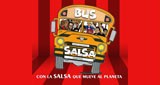 Bus Salsa