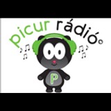 PICUR RADIO