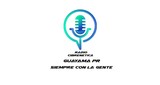 radio cibernetica