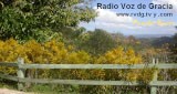 Radio Voz de Gracia - Puerto Rico