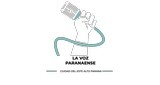 La Voz Paranaense Online