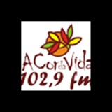 Rádio A Cor da Vida