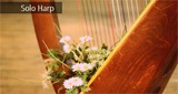 Radio Art - Solo Harp