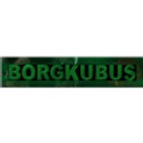 Radio Borgkubus