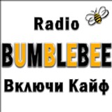 Radio BumbleBee