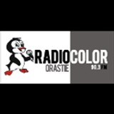 Radio Color Orastie