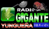 Radio Gigante Yungueña