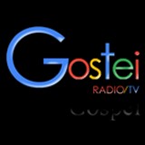 Rádio Gostei Gospel