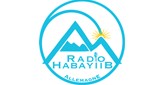 Radio Habayiib