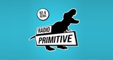 Radio Primitive