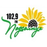 Radio Sunflower