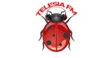 Radio Telesia