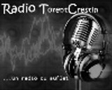 Radio Torent Crestin