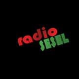 Radiosesel