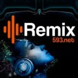 Remix593