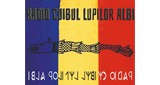 Radio Cuibul Lupilor Albi